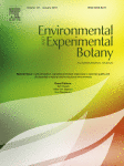 www.sciencedirect.com