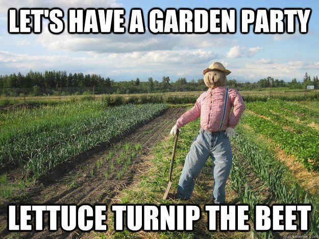 6c285c1e1a2b796bb91cbe880524e891--scarecrows-so-funny.jpg