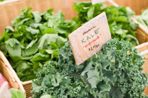 kale5-500x331.jpg