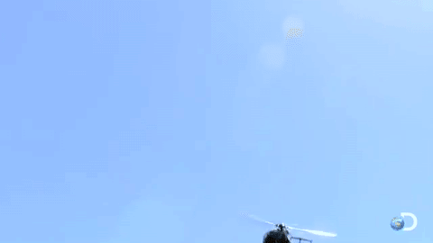 giphy.gif
