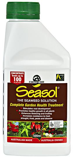 10556-Seasol-Concentrate-500ml.jpg