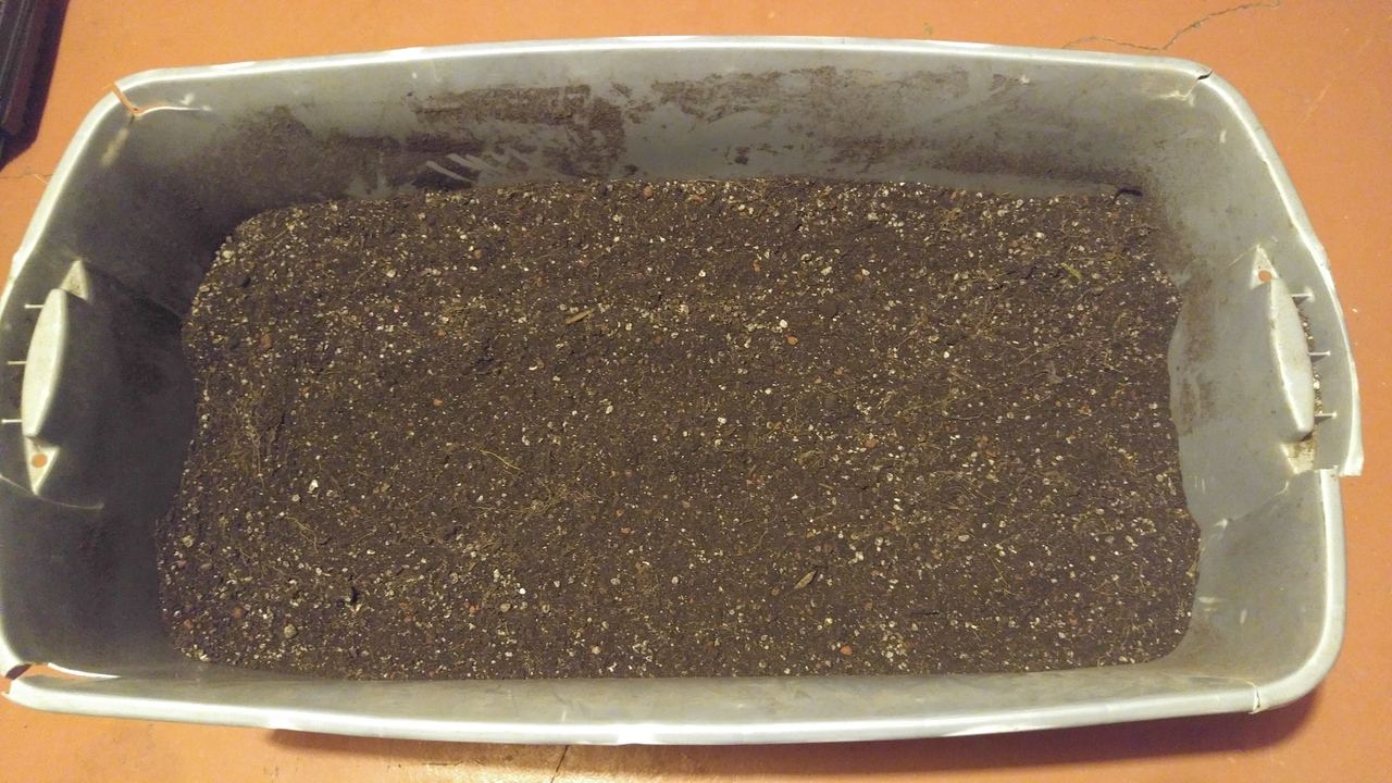 20170131_203345.jpg