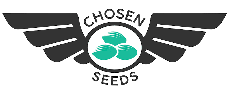 chosenseeds.com