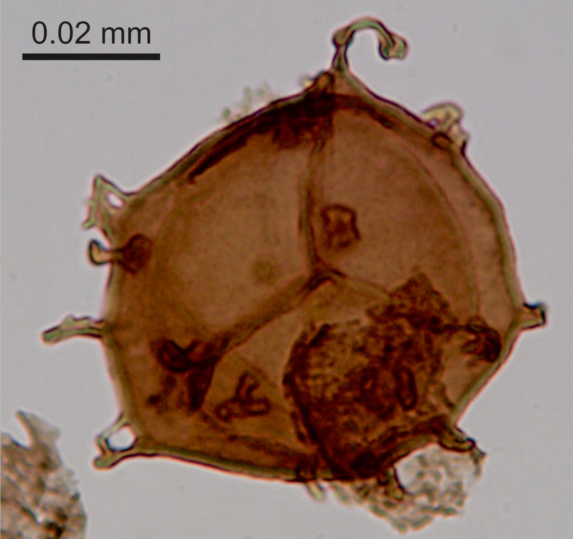 scitechdaily.com