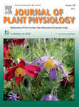 www.sciencedirect.com