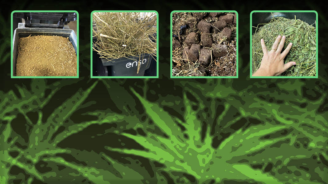 www.biocycle.net