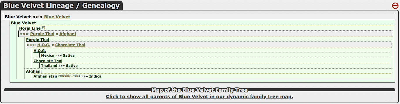 Screen-Shot-2020-11-19-at-8-41-22-AM.png