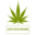 scotlandcannabisclinic.co.uk