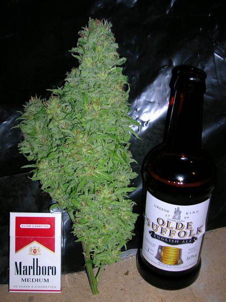 Harvest_030.jpg
