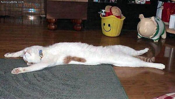 Sprawled_Out.jpg