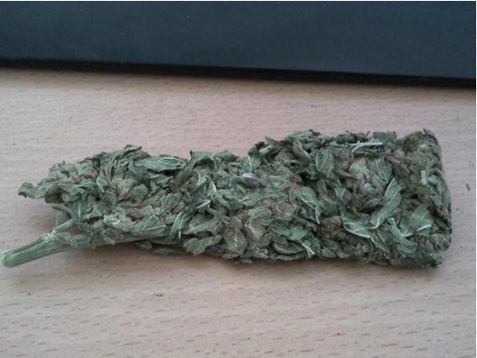 www.allbud.com