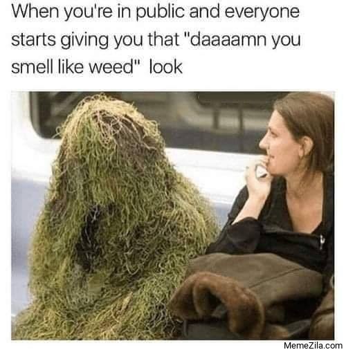 Damn-you-smell-like-weed-meme-7384.png