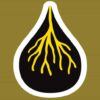 www.o2grow.com