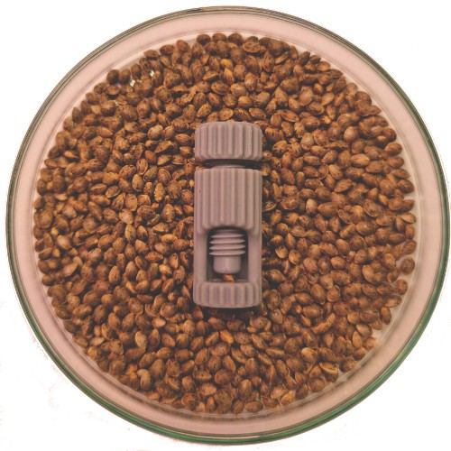 www.cannapot.com