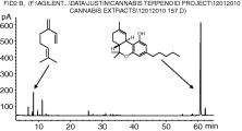 www.sciencedirect.com