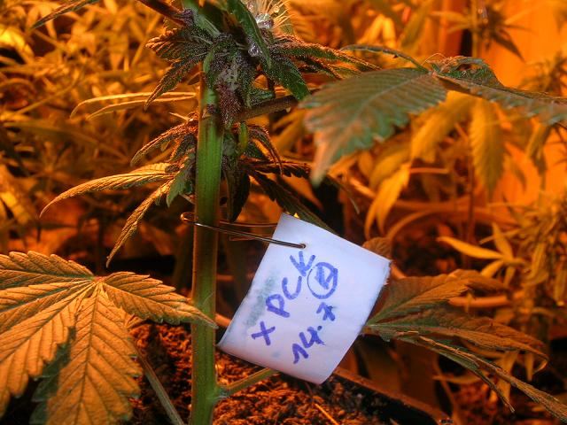 710.jpg