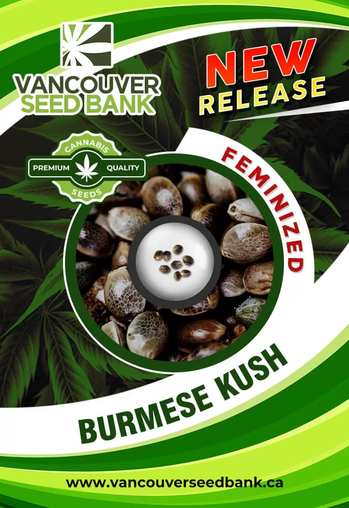 vancouverseedbank.ca