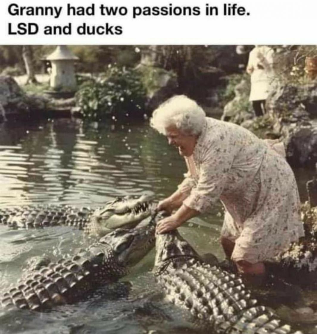 6644161025fd6.jpeg