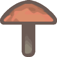 www.shroomery.org