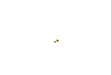 plant%20grow.gif