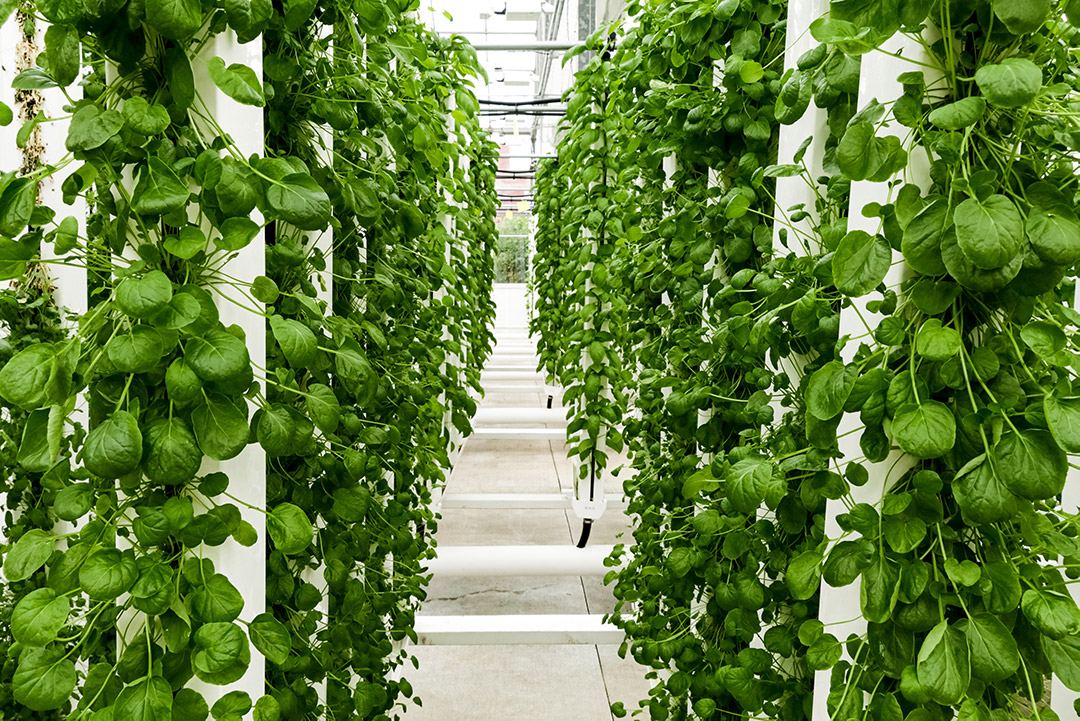 blog.zipgrow.com