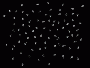 64a832433f72e9abe72d1b54fbb061b1.gif