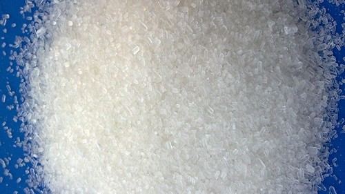www.pthorticulture.com
