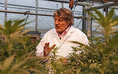 chilledtechgrowlights.com