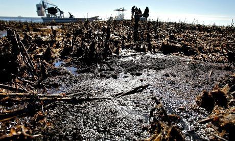 Months-After-BP-Oil-Spill-011.jpg