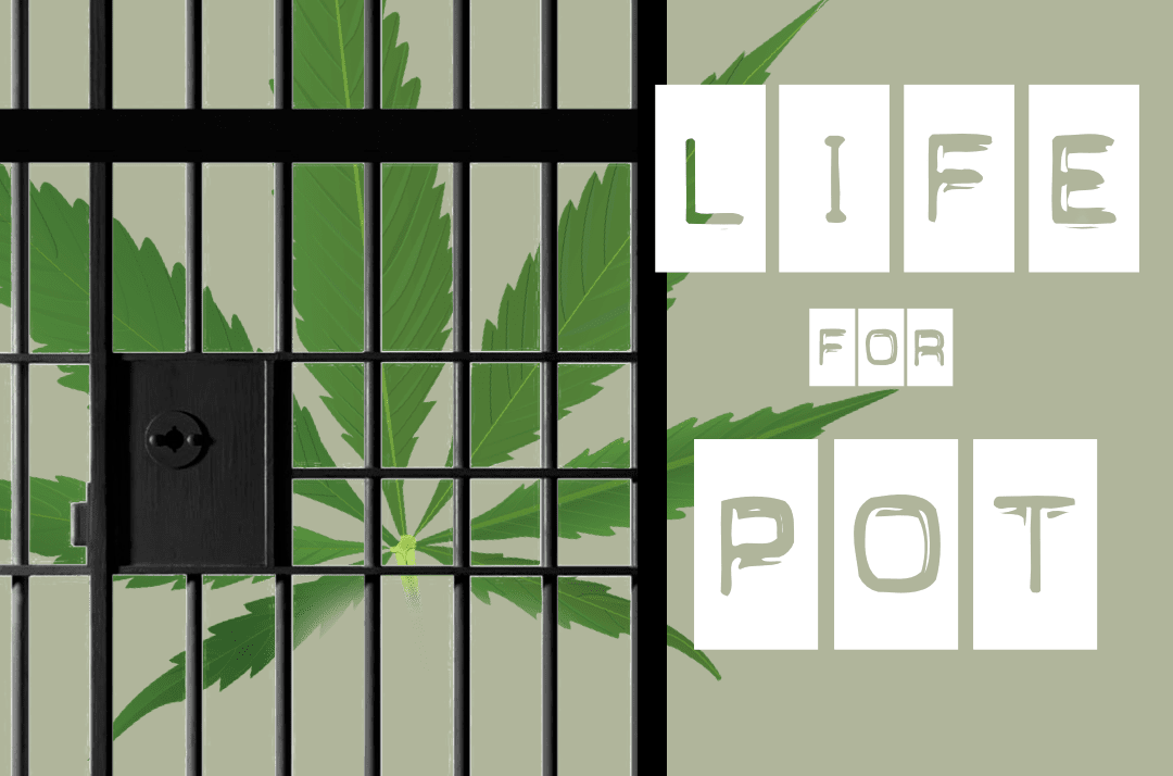 www.lifeforpot.com