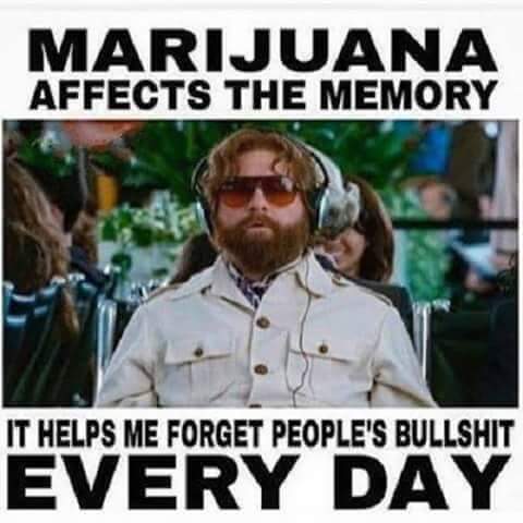 marijuana-memory-forget-bs-weedmemes.jpg