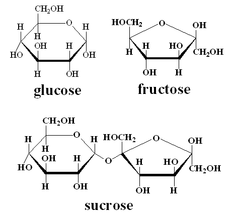 sucrose-glucose-fructose-sugars.gif