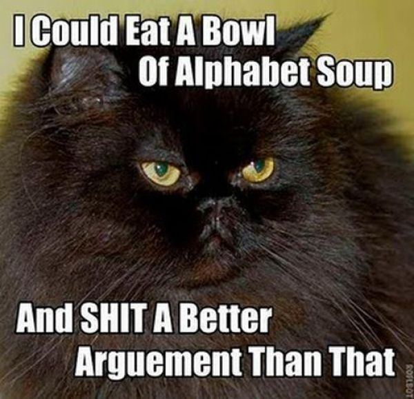 Argument_Cat.jpg