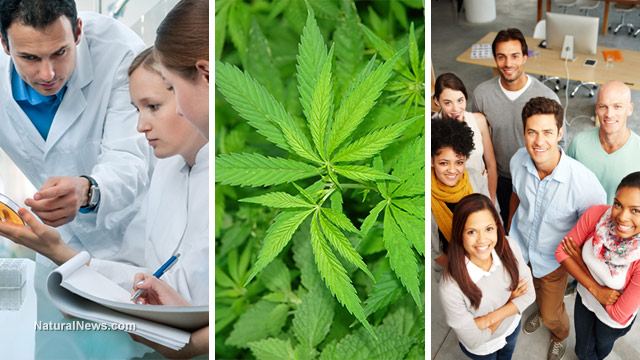 Scientists-Cannabis-Marijuana-Group-People.jpg