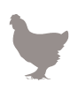 chicken-icon.png
