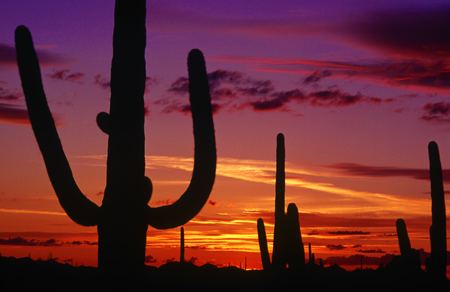 sunset-Tucson.jpg