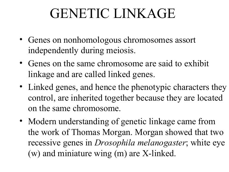 geneticlinkage-110703091542-phpapp01-thumbnail-4.jpg