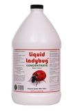 Liquid Ladybug 1 Gallon Concentrate