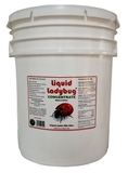 Liquid Ladybug 5 Gallon Concentrate