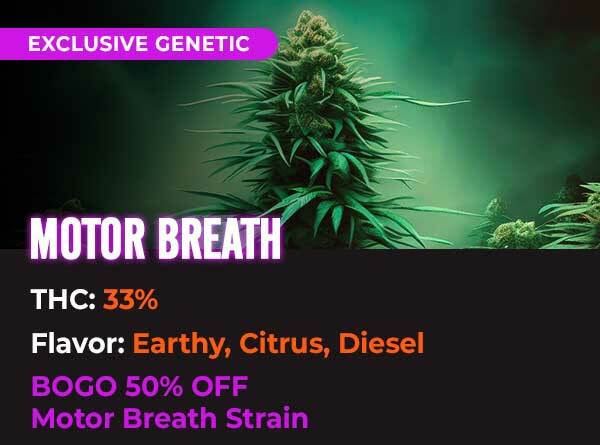 Motor Breath
