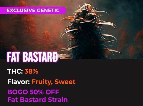 Fat Bastard Strain