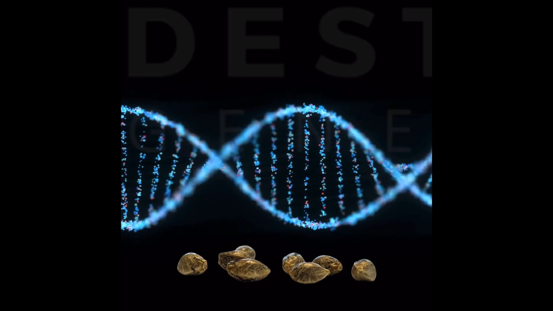 destinygenetics.org