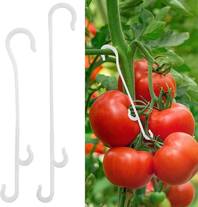 CARE HOME Gloryfox 150 Pcs Tomato Support Hooks Tomato Truss Hooks Tomatoes Vegetable J-Hook Support Clips to Prevent Tomato Branches from Breaking or Falling Off, 5.1"(Length)
