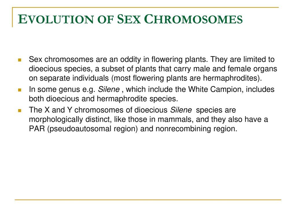 EVOLUTION+OF+SEX+CHROMOSOMES.jpg