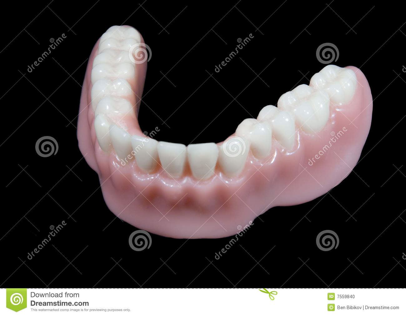 Lower denture teeth