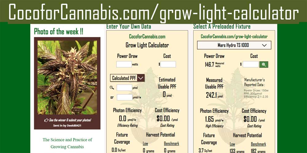 www.cocoforcannabis.com