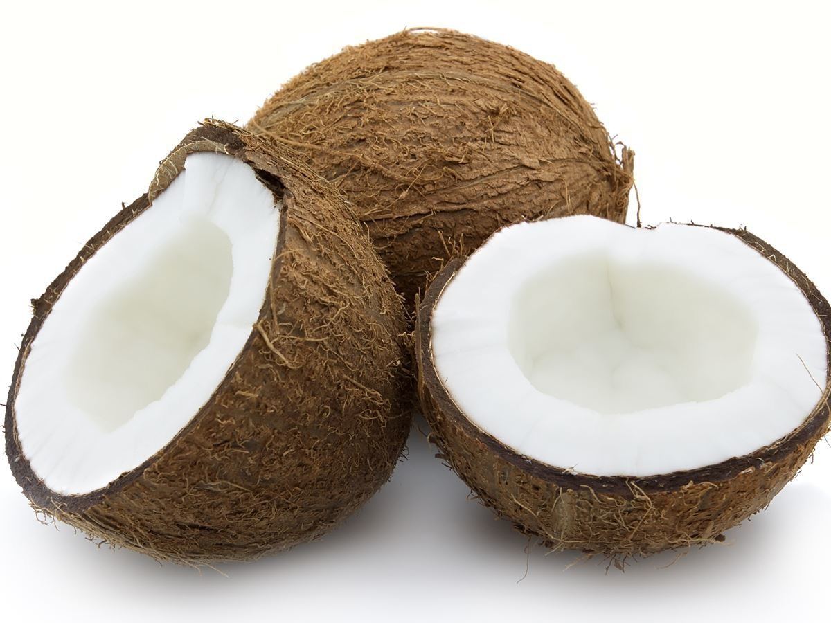 Coconut2.jpg