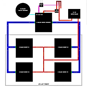 building-another-rdwc-system-for-veg.png