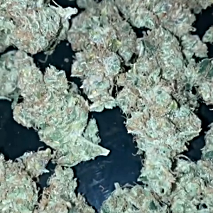 Gorilla Glue
