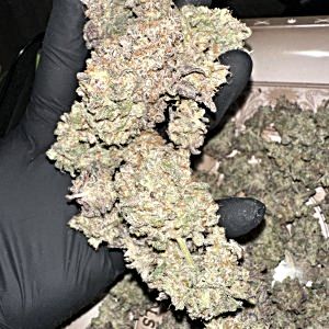 Peanutbutter Breath Atlas Seeds